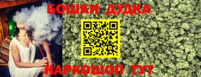 МДПВ Новокубанск