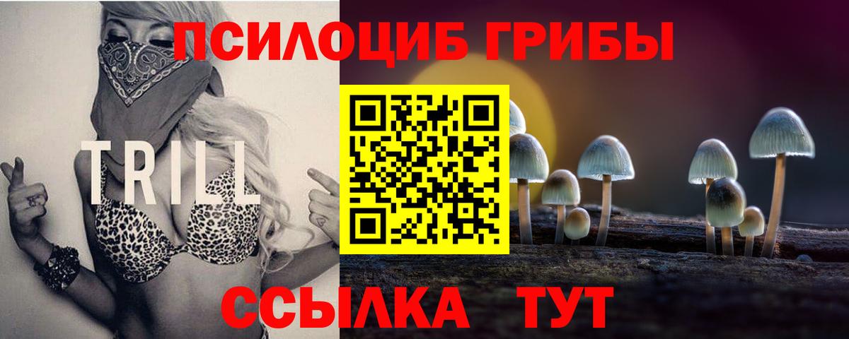 Рыбинск  Галлюциногенные грибы Psilocybe  Вход с VPN 